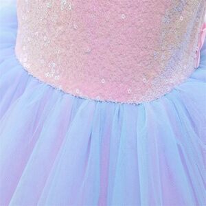 Bday Tulle Dress